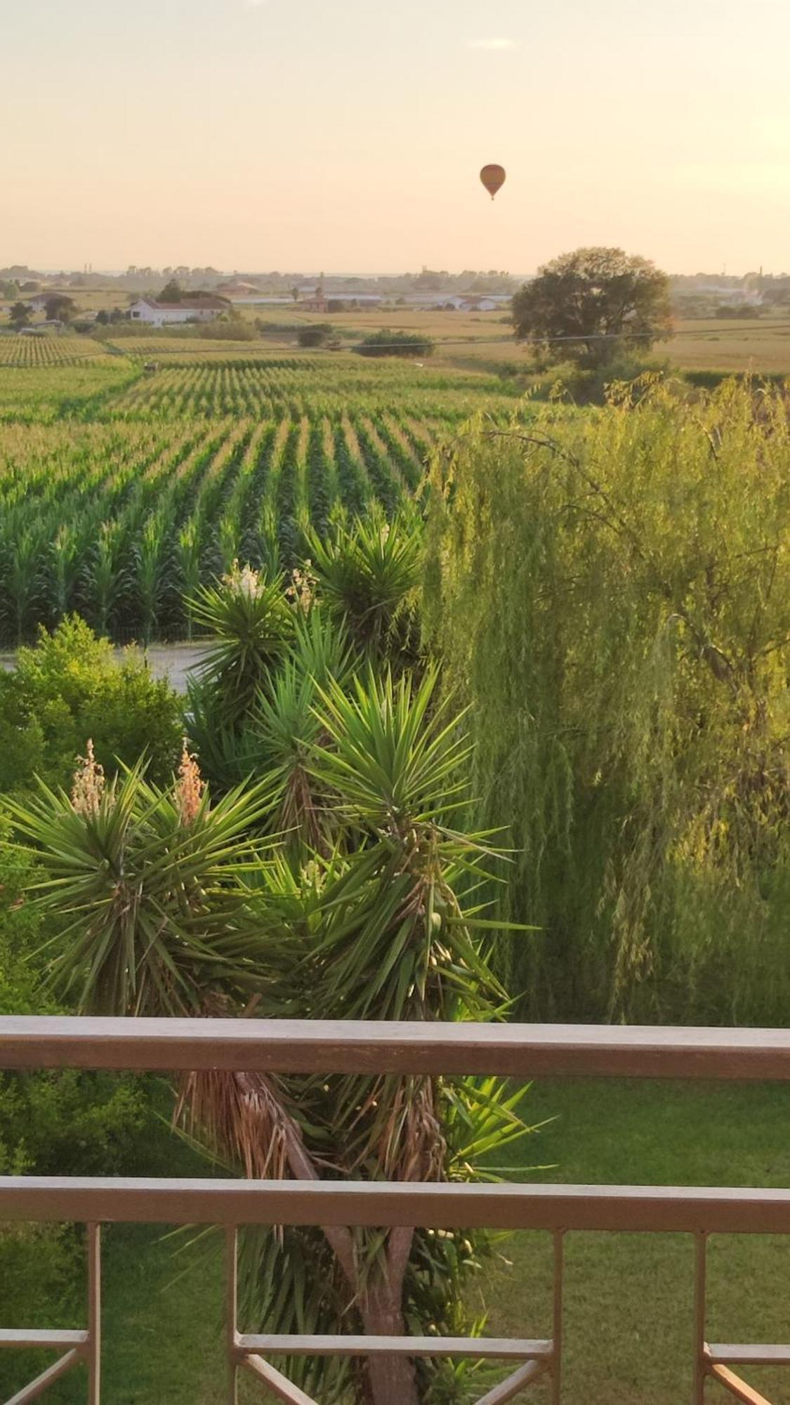 Le Colline Di Paestum Bed & Breakfast Capaccio Room photo